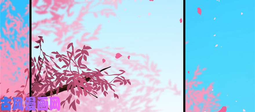 毒步天下：特工神医小兽妃81