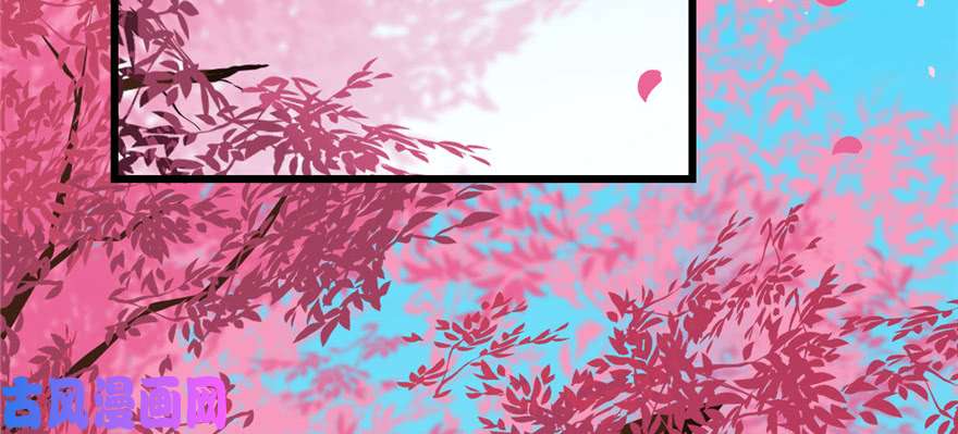 毒步天下：特工神医小兽妃81