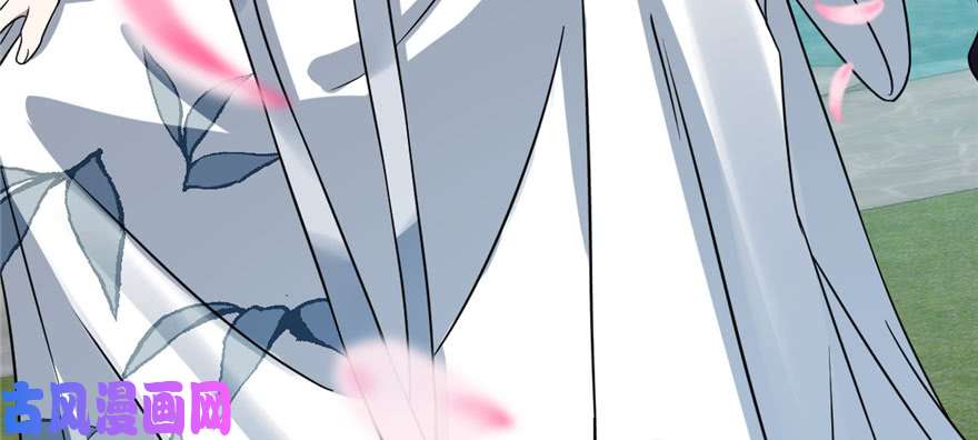 毒步天下：特工神医小兽妃81