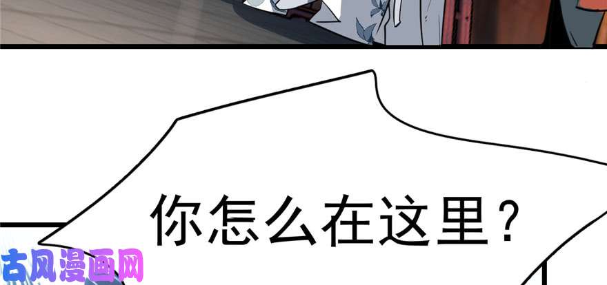 毒步天下：特工神医小兽妃81