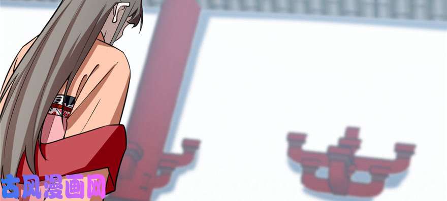 毒步天下：特工神医小兽妃81