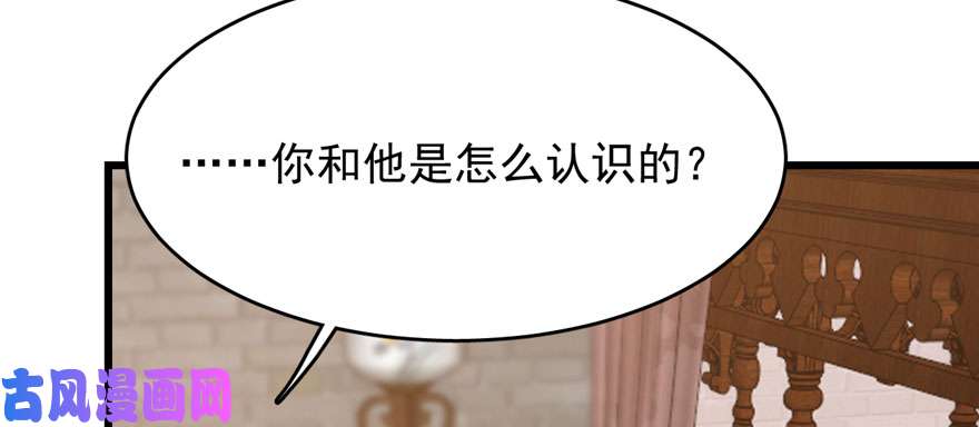 毒步天下：特工神医小兽妃82