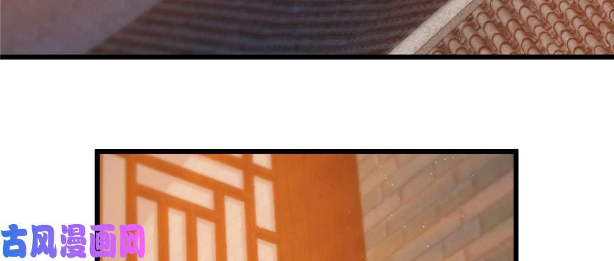 毒步天下：特工神医小兽妃82