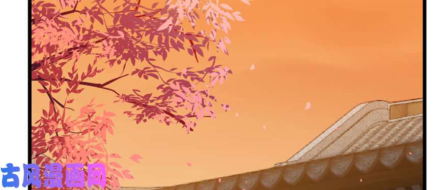 毒步天下：特工神医小兽妃82