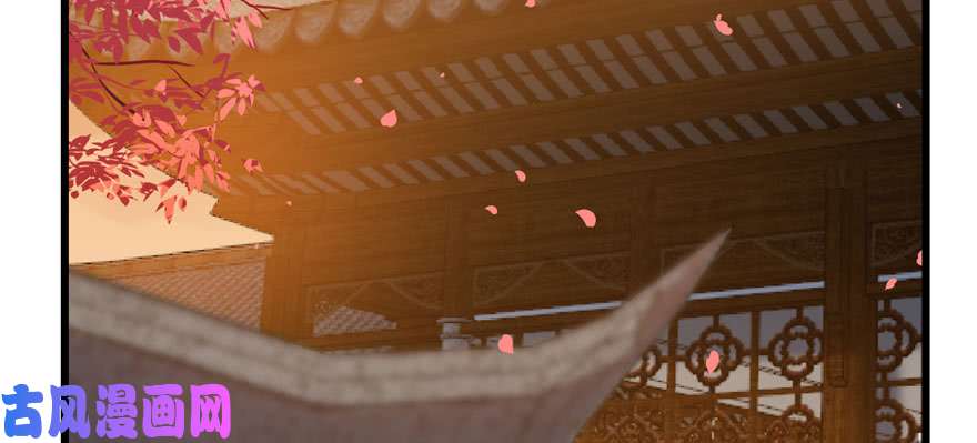 毒步天下：特工神医小兽妃82