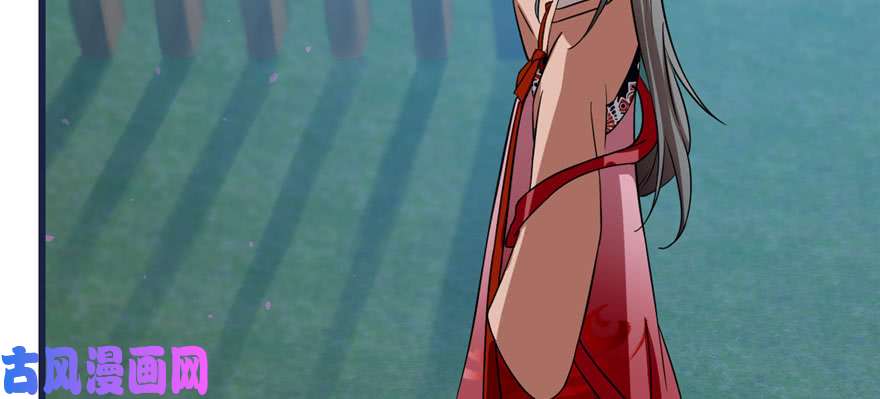 毒步天下：特工神医小兽妃83