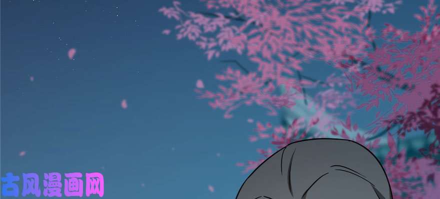 毒步天下：特工神医小兽妃83