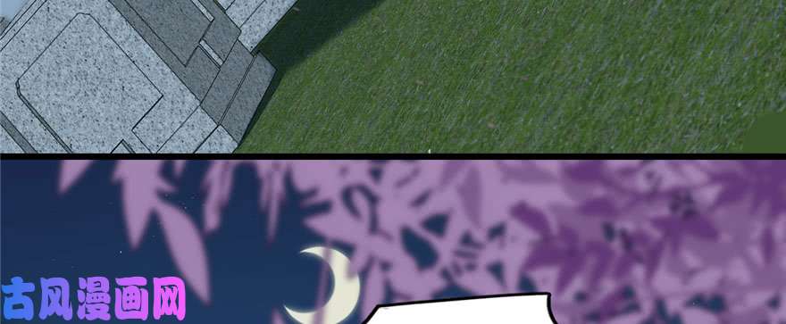 毒步天下：特工神医小兽妃83