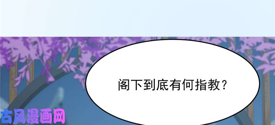 毒步天下：特工神医小兽妃83