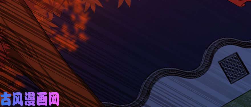 毒步天下：特工神医小兽妃84