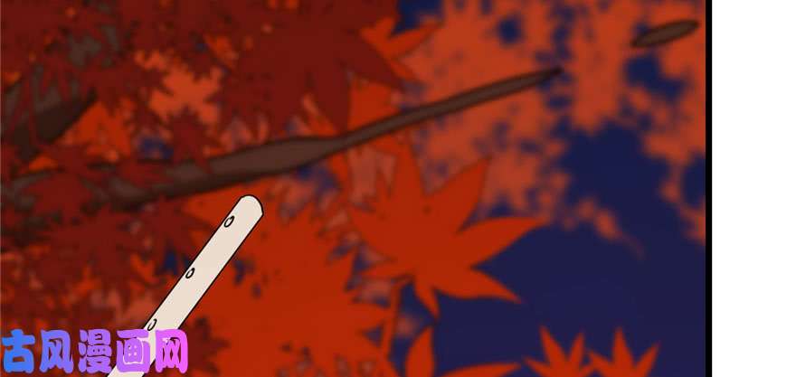 毒步天下：特工神医小兽妃84