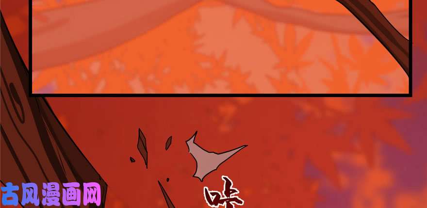 毒步天下：特工神医小兽妃84