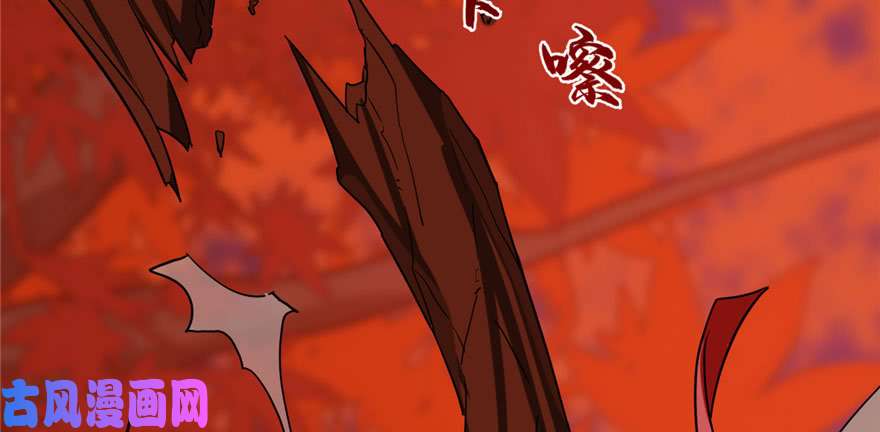 毒步天下：特工神医小兽妃84