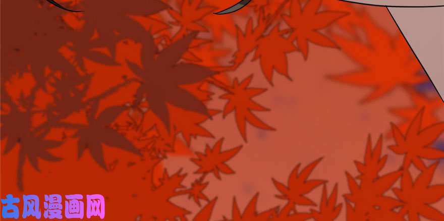 毒步天下：特工神医小兽妃84