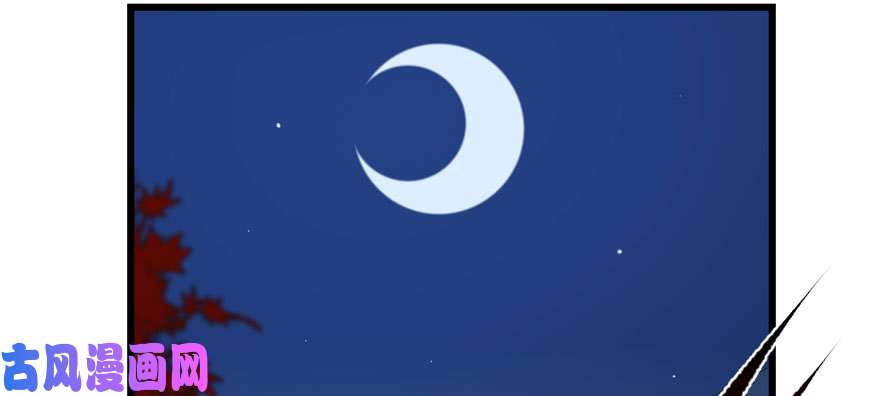 毒步天下：特工神医小兽妃84