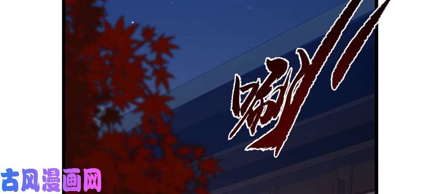 毒步天下：特工神医小兽妃84