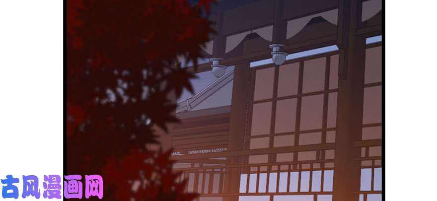 毒步天下：特工神医小兽妃84