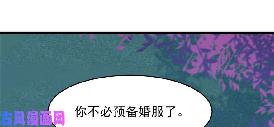 毒步天下：特工神医小兽妃84