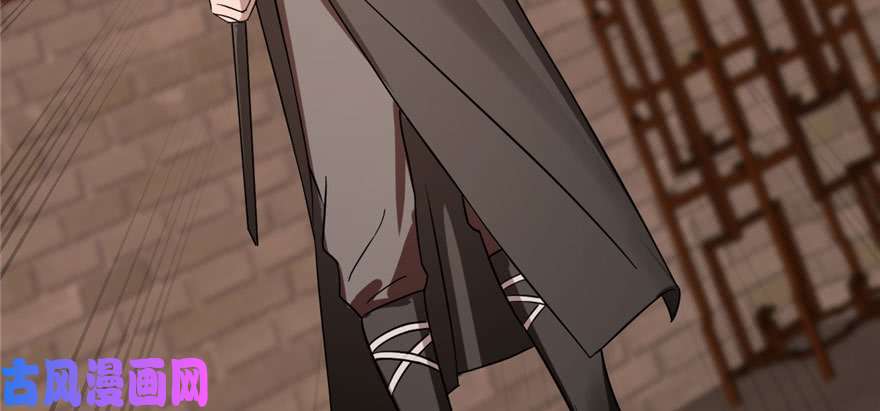 毒步天下：特工神医小兽妃84