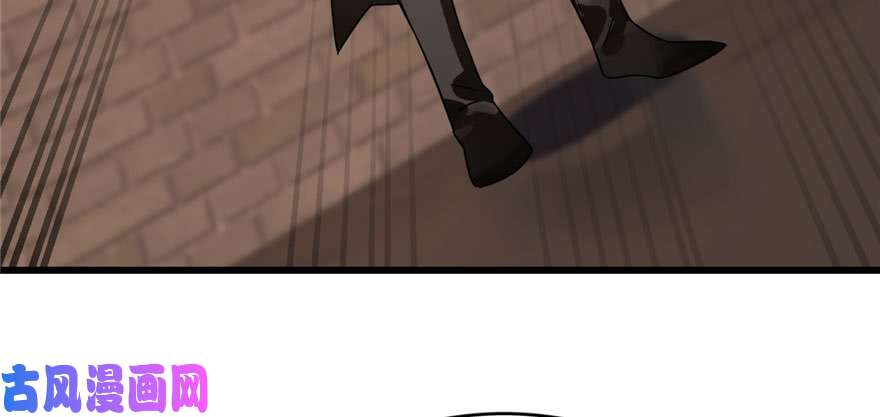 毒步天下：特工神医小兽妃84