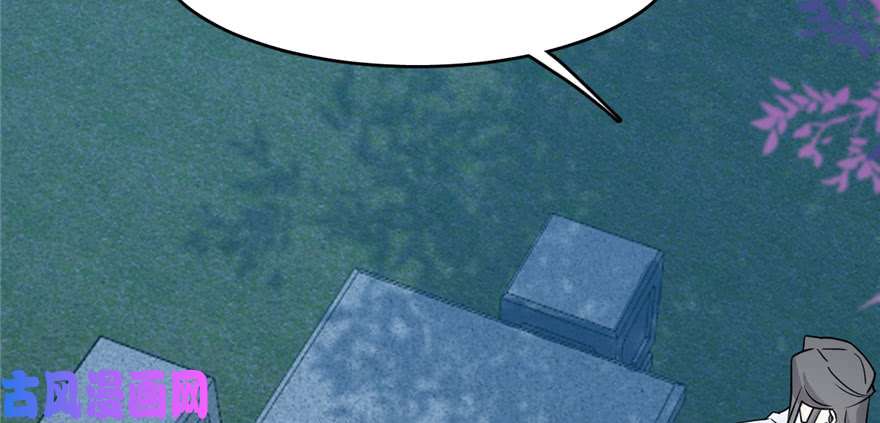 毒步天下：特工神医小兽妃84