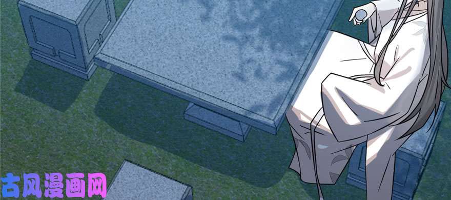 毒步天下：特工神医小兽妃84