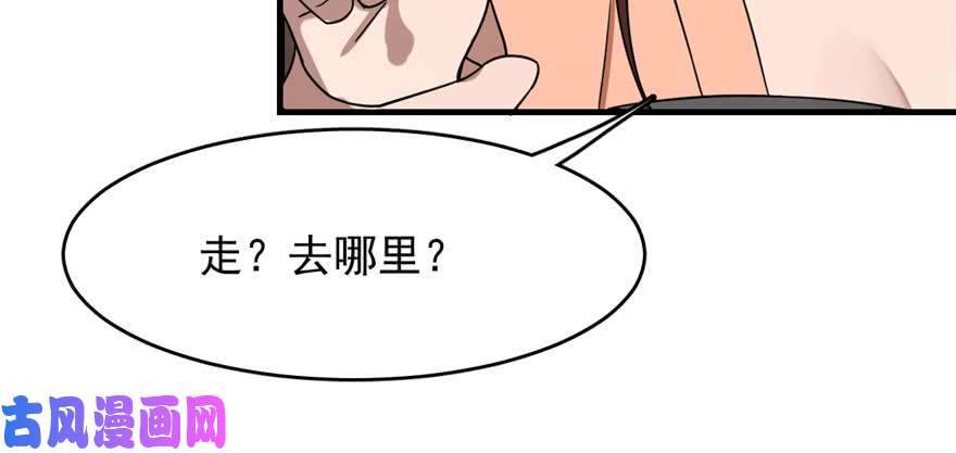 毒步天下：特工神医小兽妃84