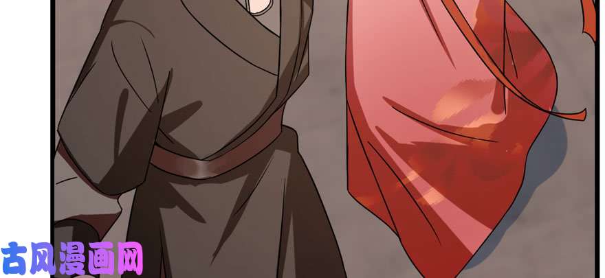 毒步天下：特工神医小兽妃84