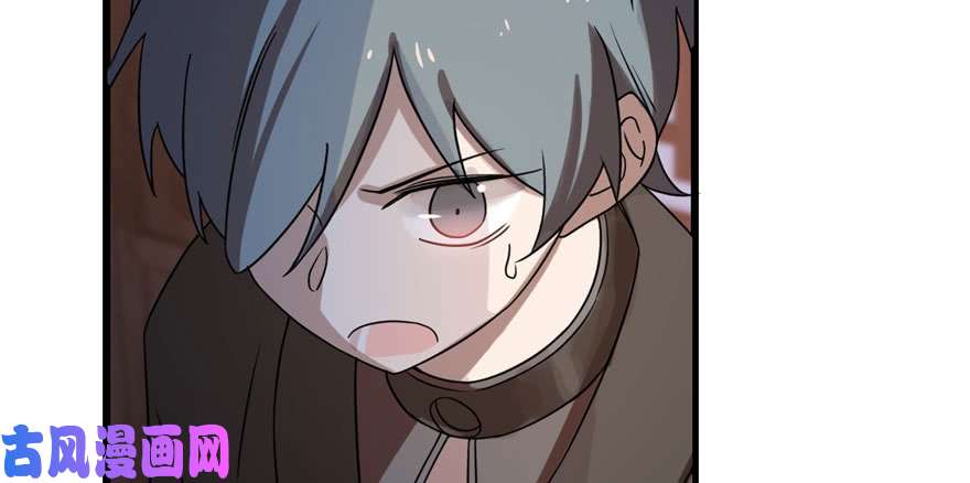 毒步天下：特工神医小兽妃84