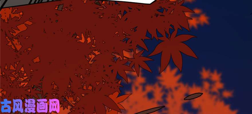 毒步天下：特工神医小兽妃84