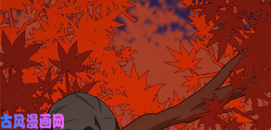 毒步天下：特工神医小兽妃84