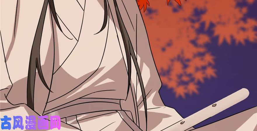 毒步天下：特工神医小兽妃84