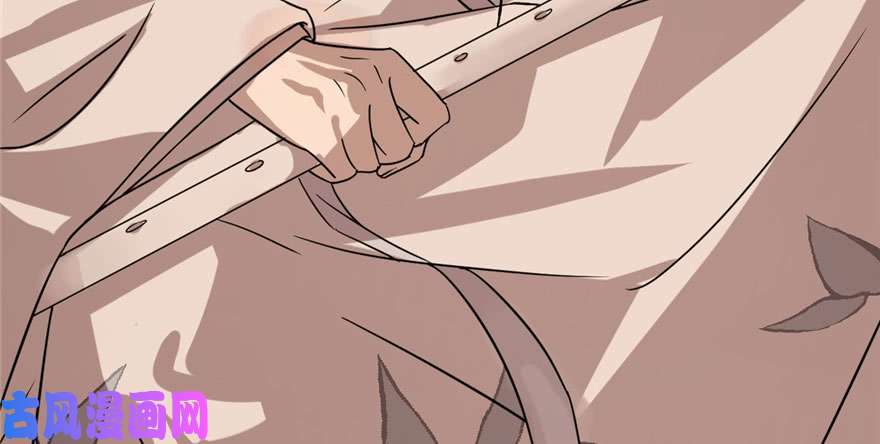 毒步天下：特工神医小兽妃84