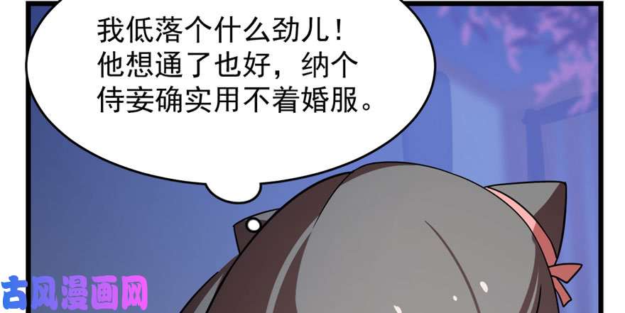 毒步天下：特工神医小兽妃84