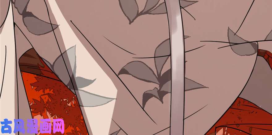 毒步天下：特工神医小兽妃84