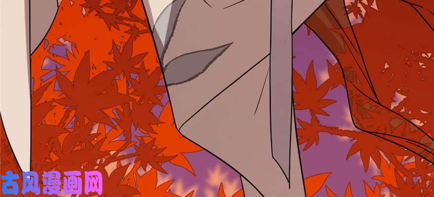 毒步天下：特工神医小兽妃84