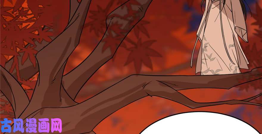 毒步天下：特工神医小兽妃85