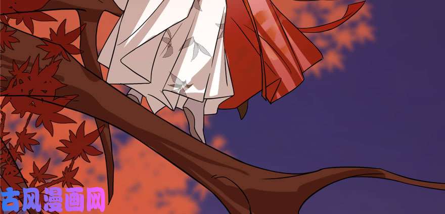 毒步天下：特工神医小兽妃85