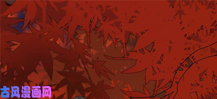 毒步天下：特工神医小兽妃85