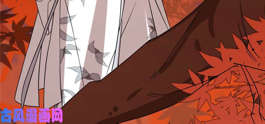 毒步天下：特工神医小兽妃85