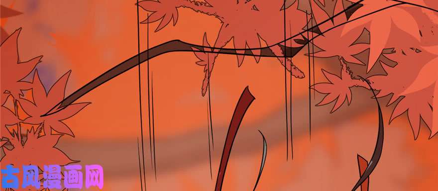 毒步天下：特工神医小兽妃85