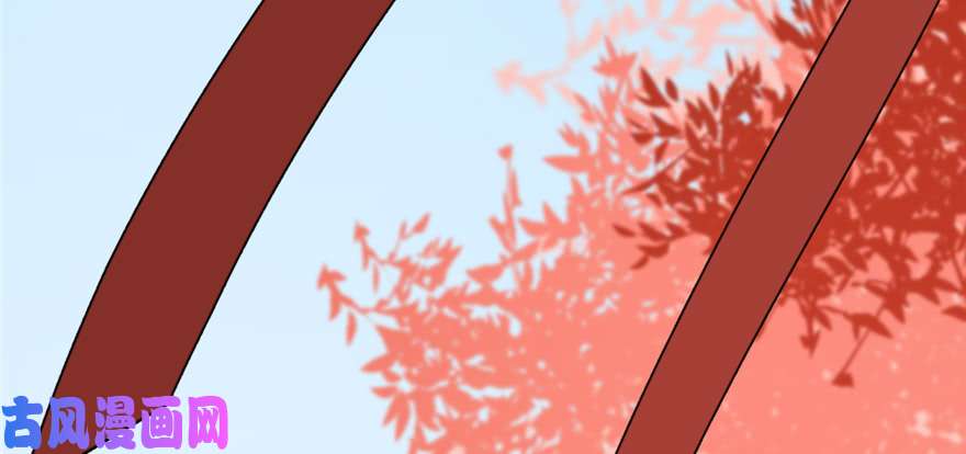 毒步天下：特工神医小兽妃86