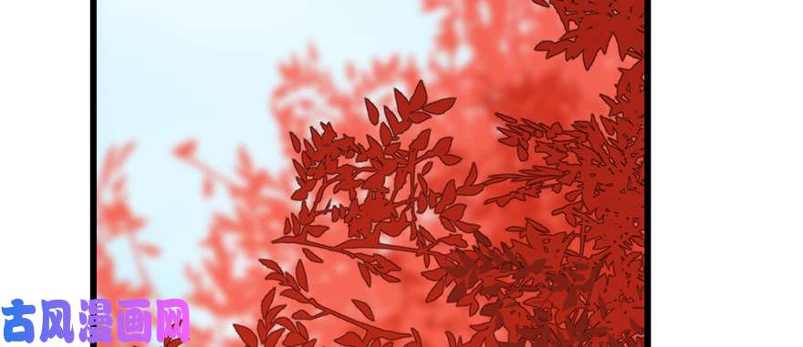 毒步天下：特工神医小兽妃86