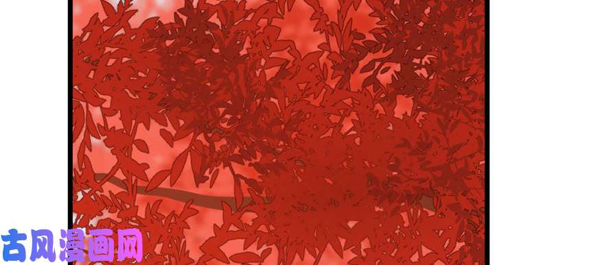 毒步天下：特工神医小兽妃86