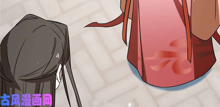 毒步天下：特工神医小兽妃86