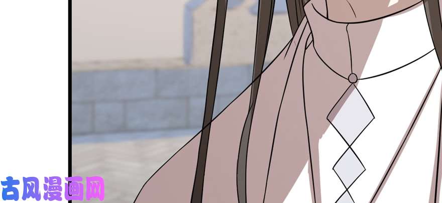 毒步天下：特工神医小兽妃86