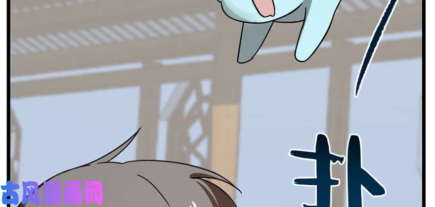 毒步天下：特工神医小兽妃86