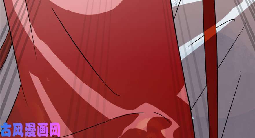 毒步天下：特工神医小兽妃87