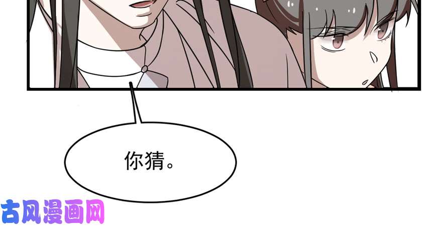 毒步天下：特工神医小兽妃87