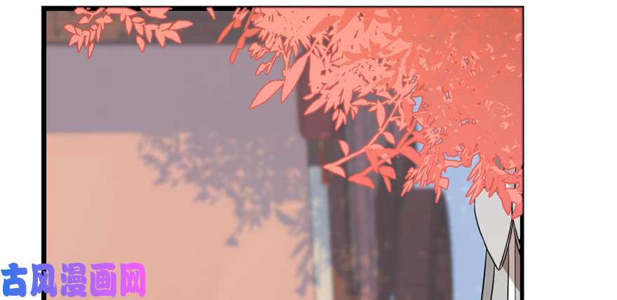 毒步天下：特工神医小兽妃87